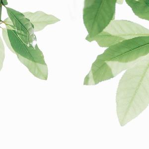 小狗女人的逼AABB
