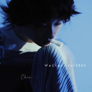 小狗女人的逼AABB
